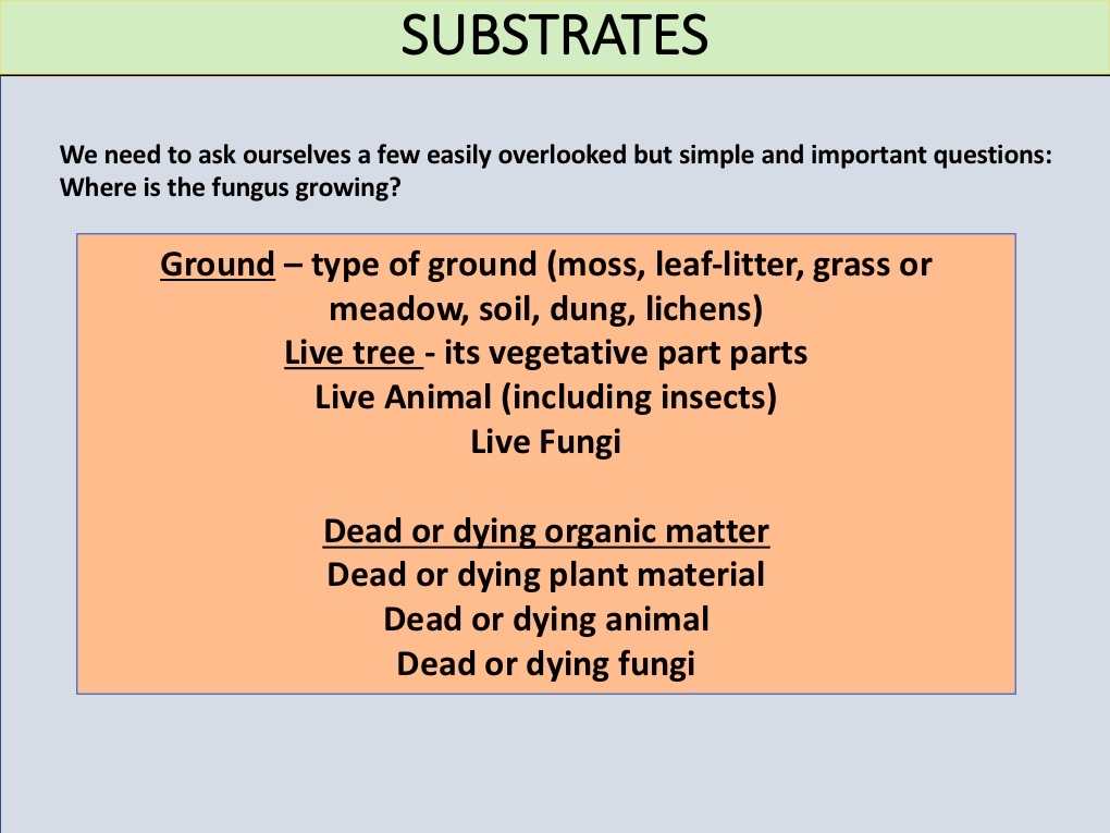 Slide004