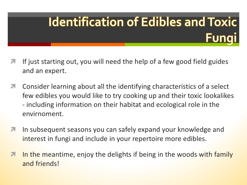Slide006