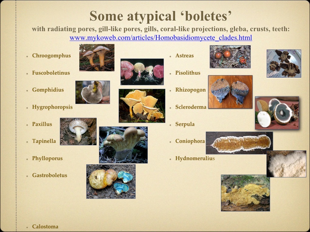 Slide01