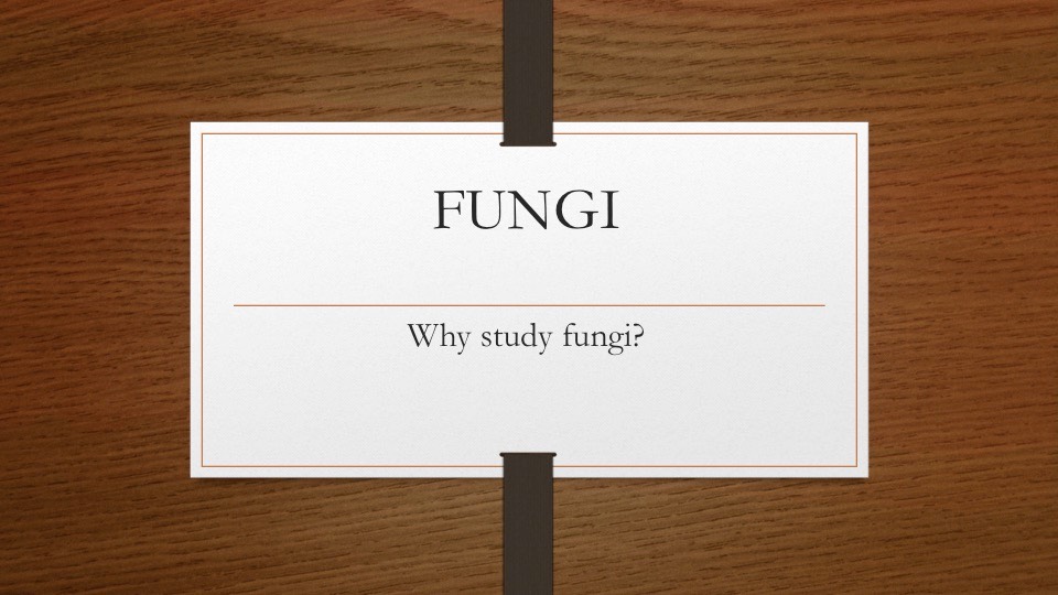 Slide01