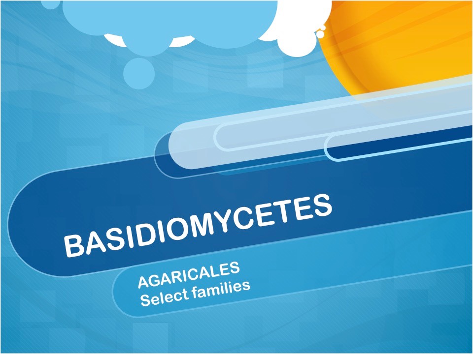 Slide01