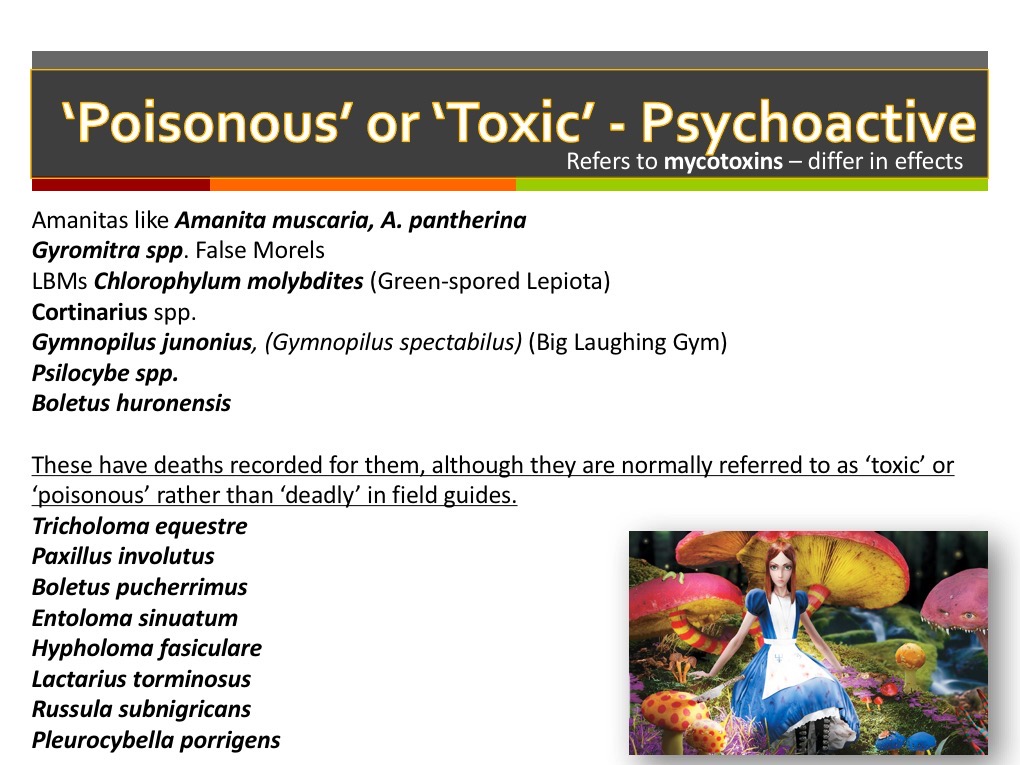 Slide012