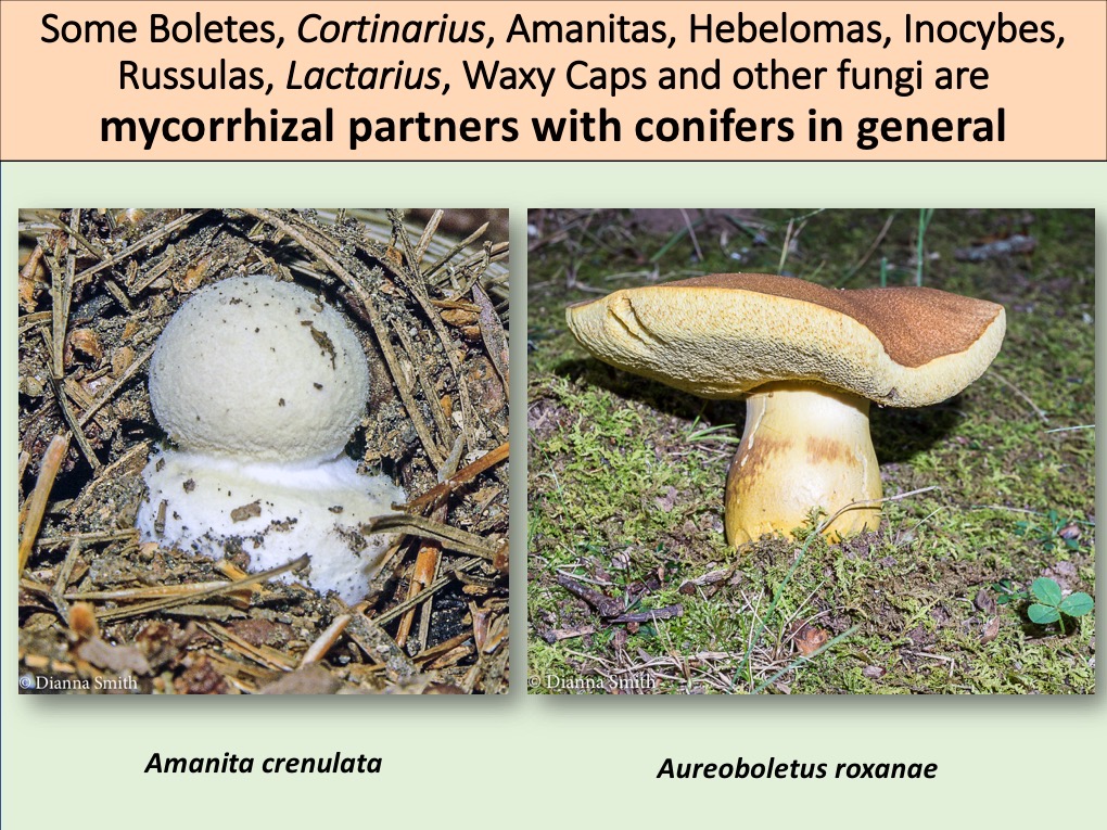 Slide012