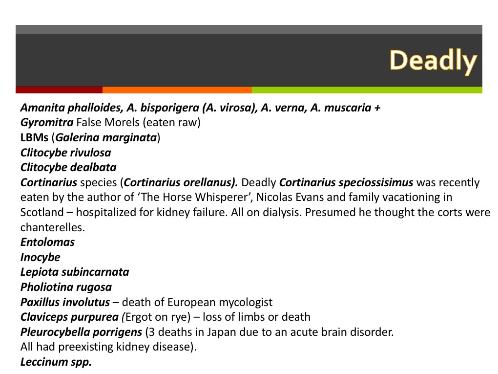 Slide013