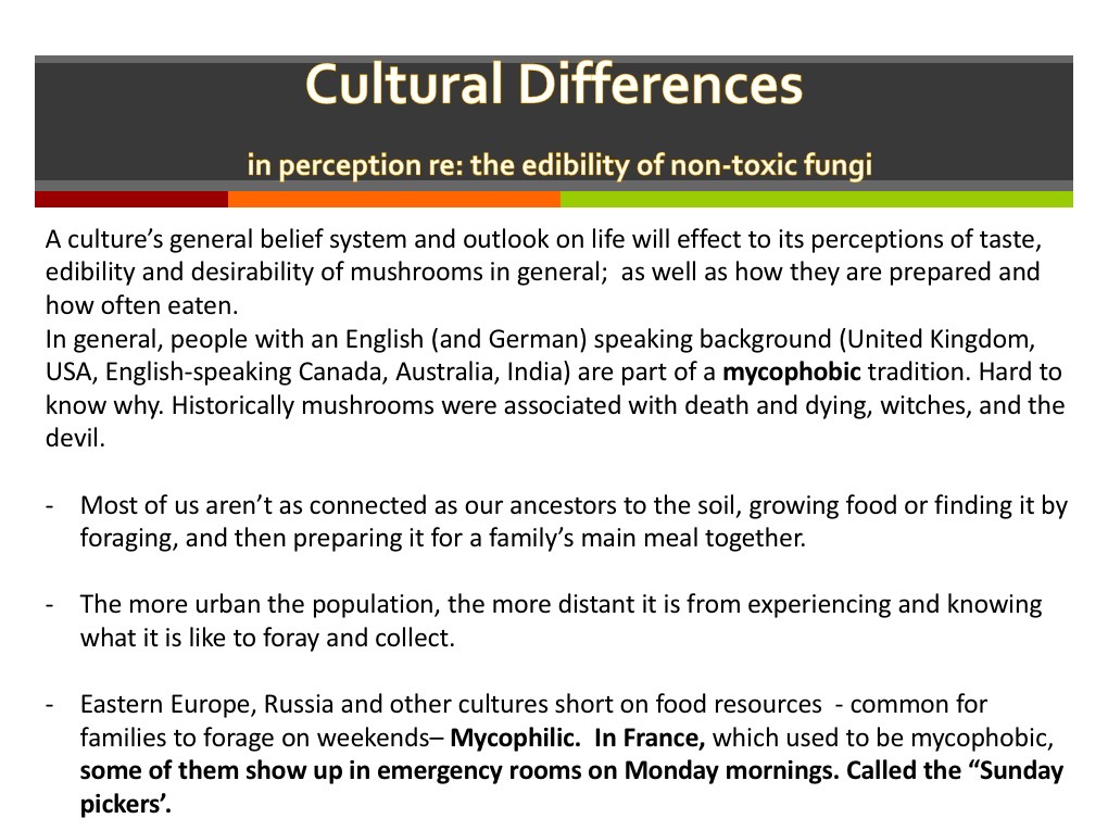 Slide014