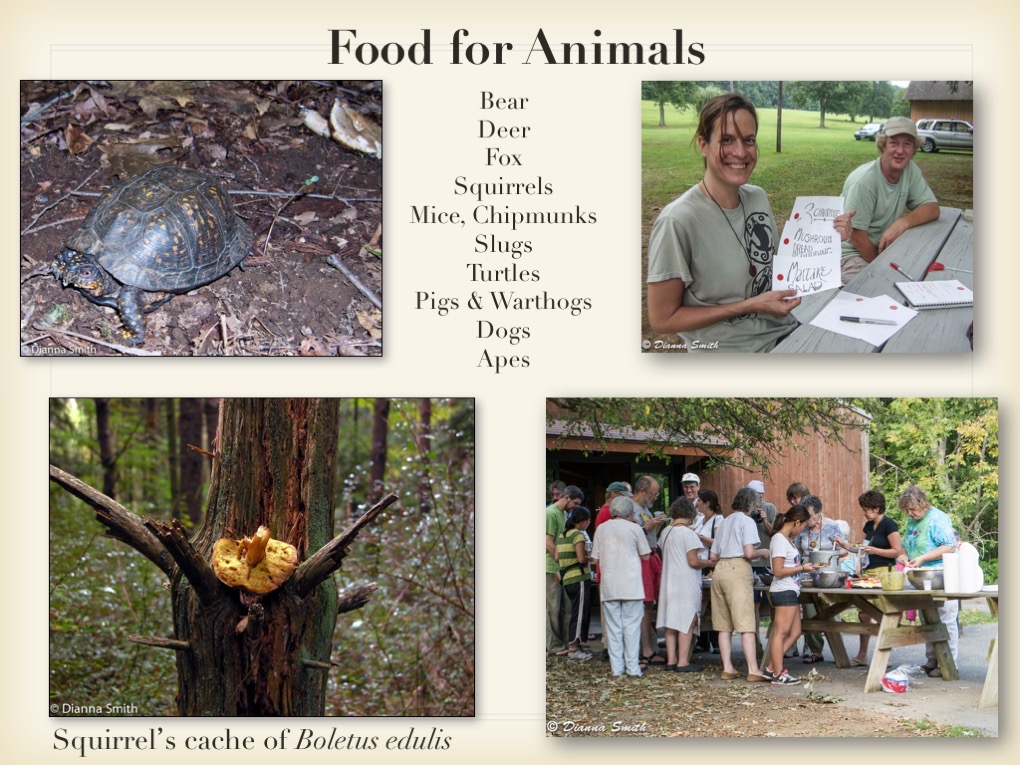 Slide015