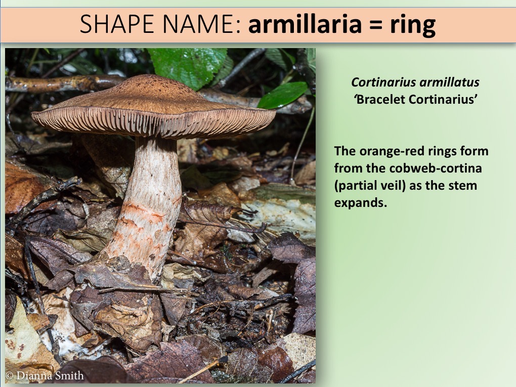 Slide015