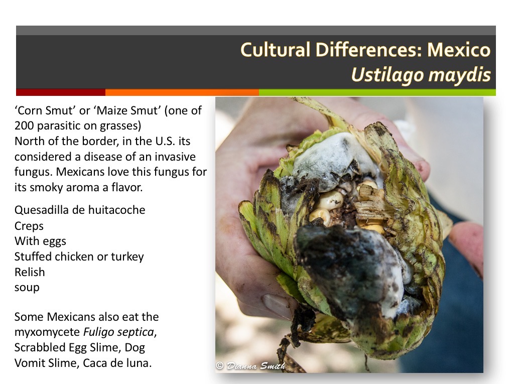 Slide015