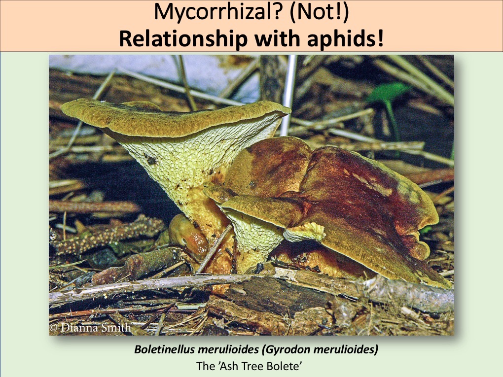 Slide015