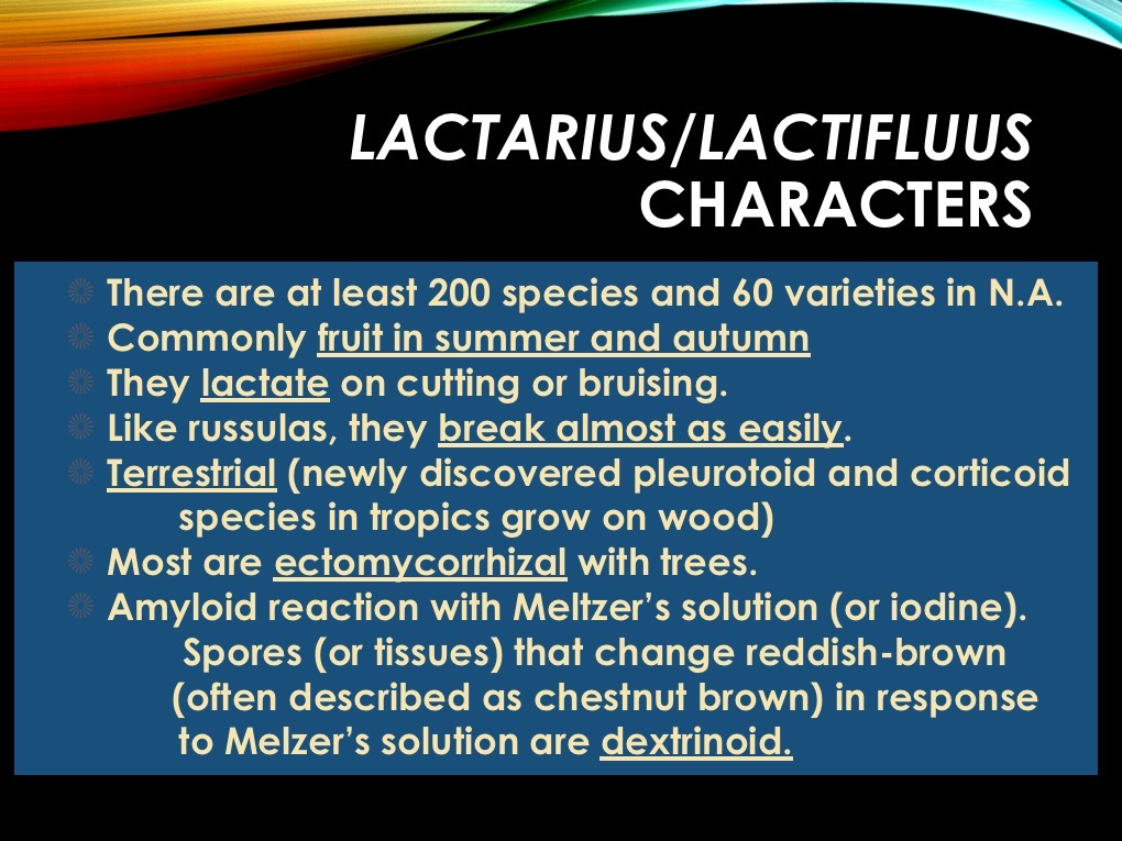 Slide02