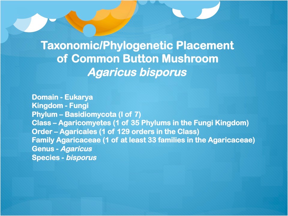Slide02