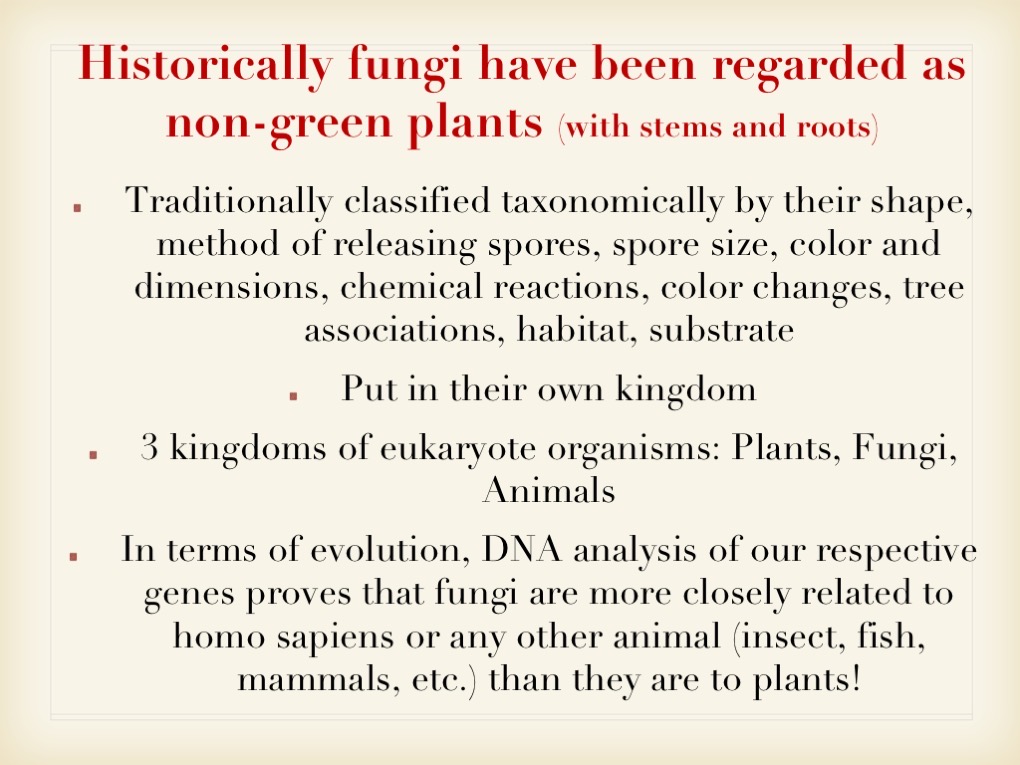 Slide023