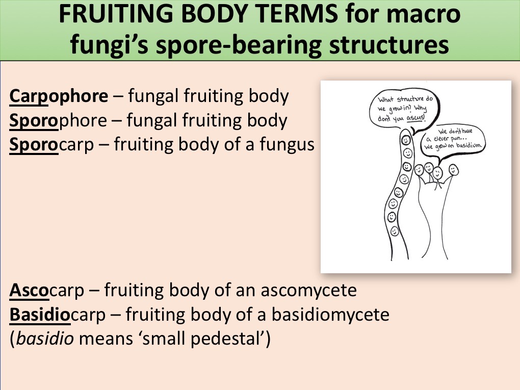 Slide024