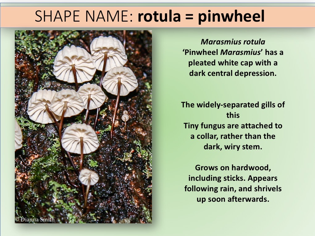 Slide025