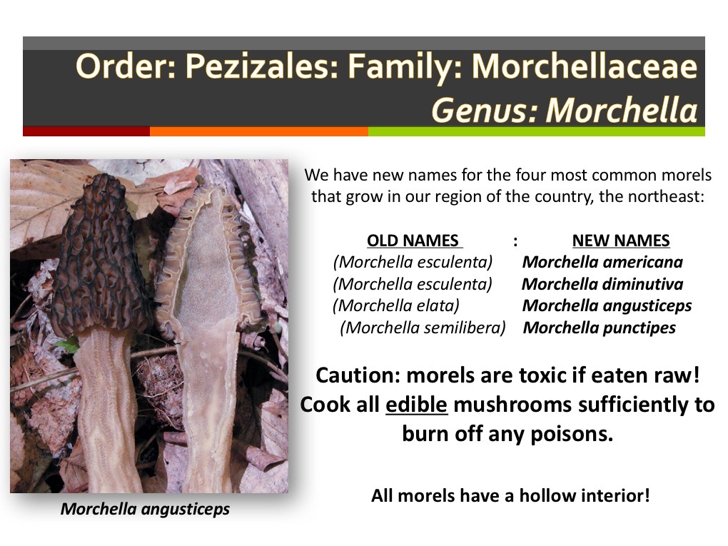 Slide025