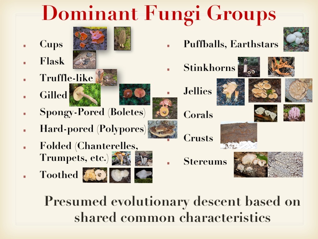 Slide026