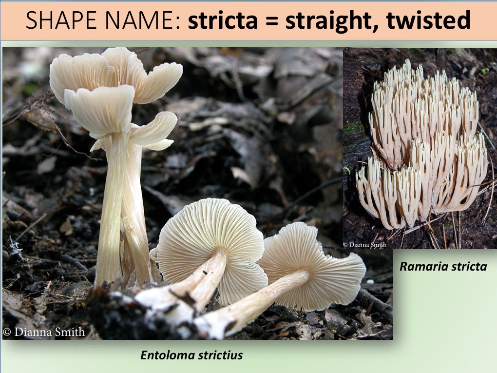 Slide027