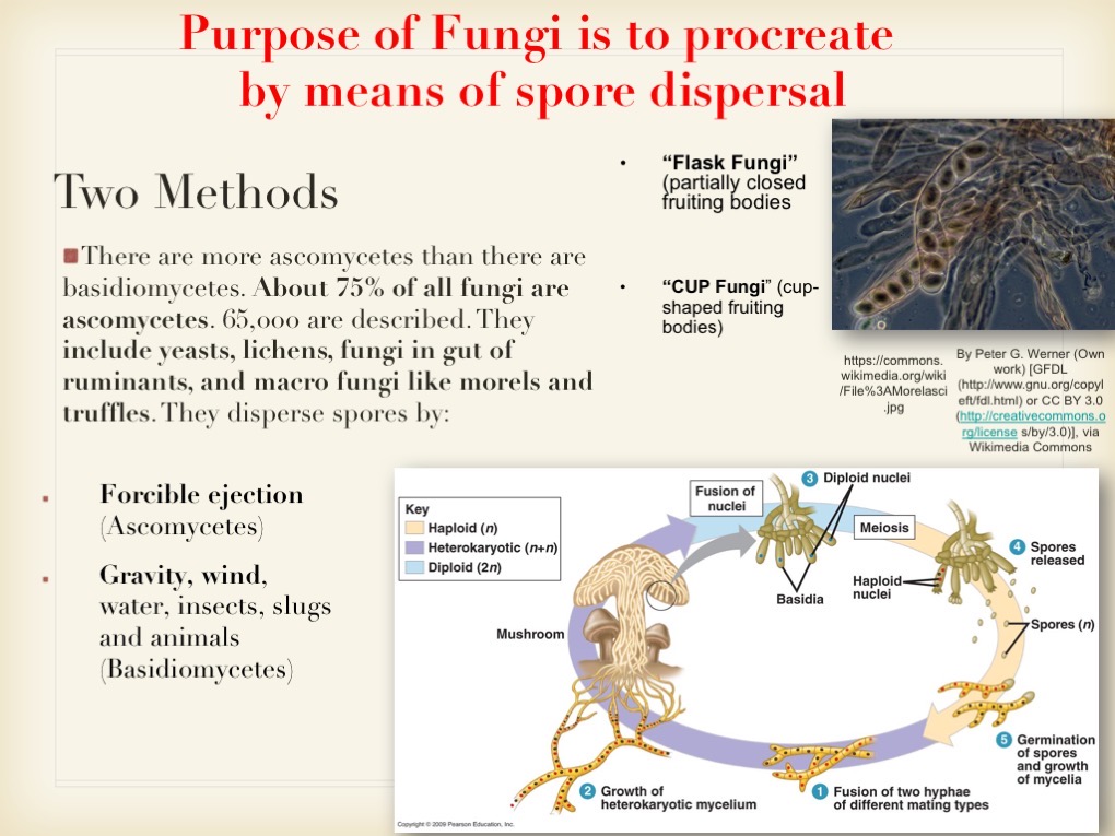 Slide028