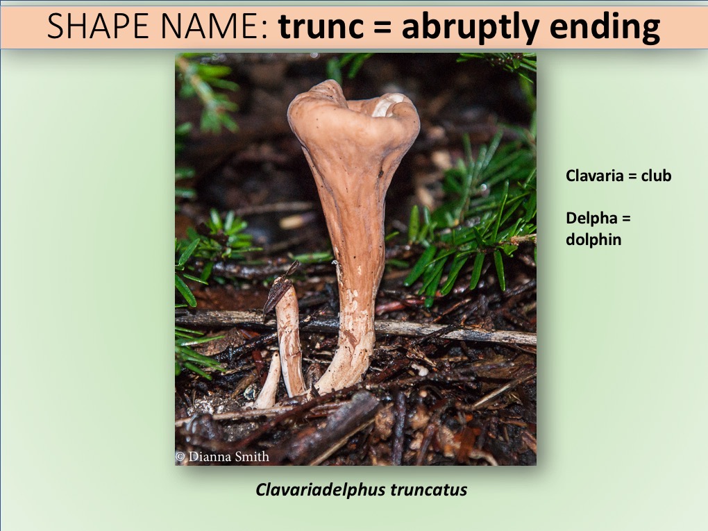 Slide028