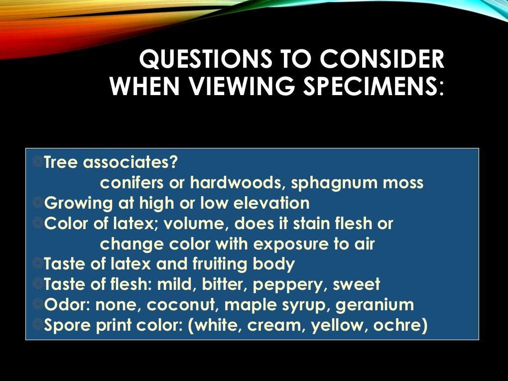 Slide03