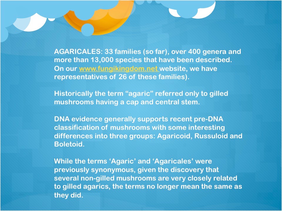 Slide03