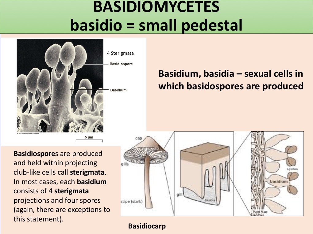 Slide030