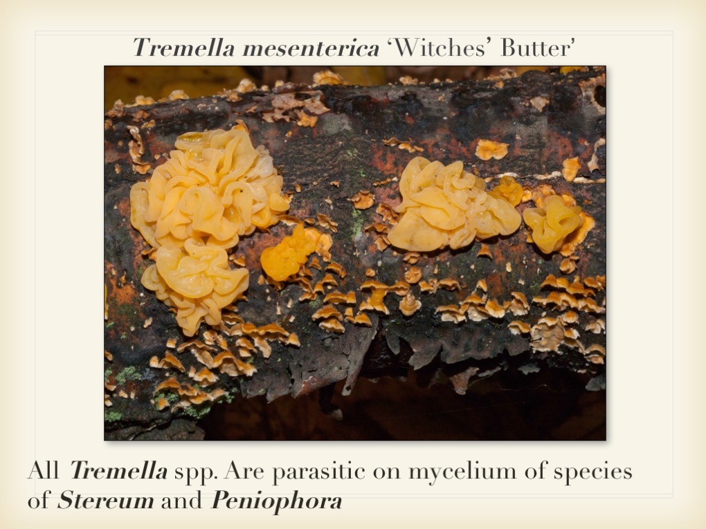 Slide035