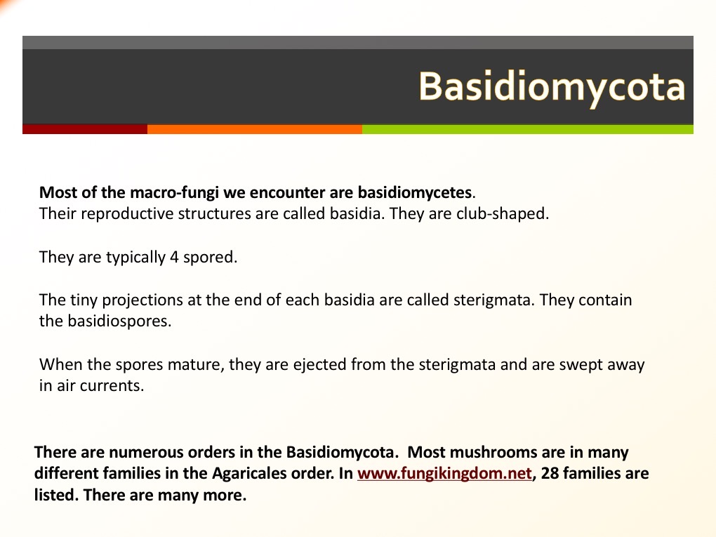 Slide035