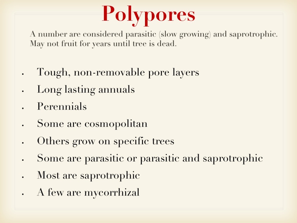 Slide036