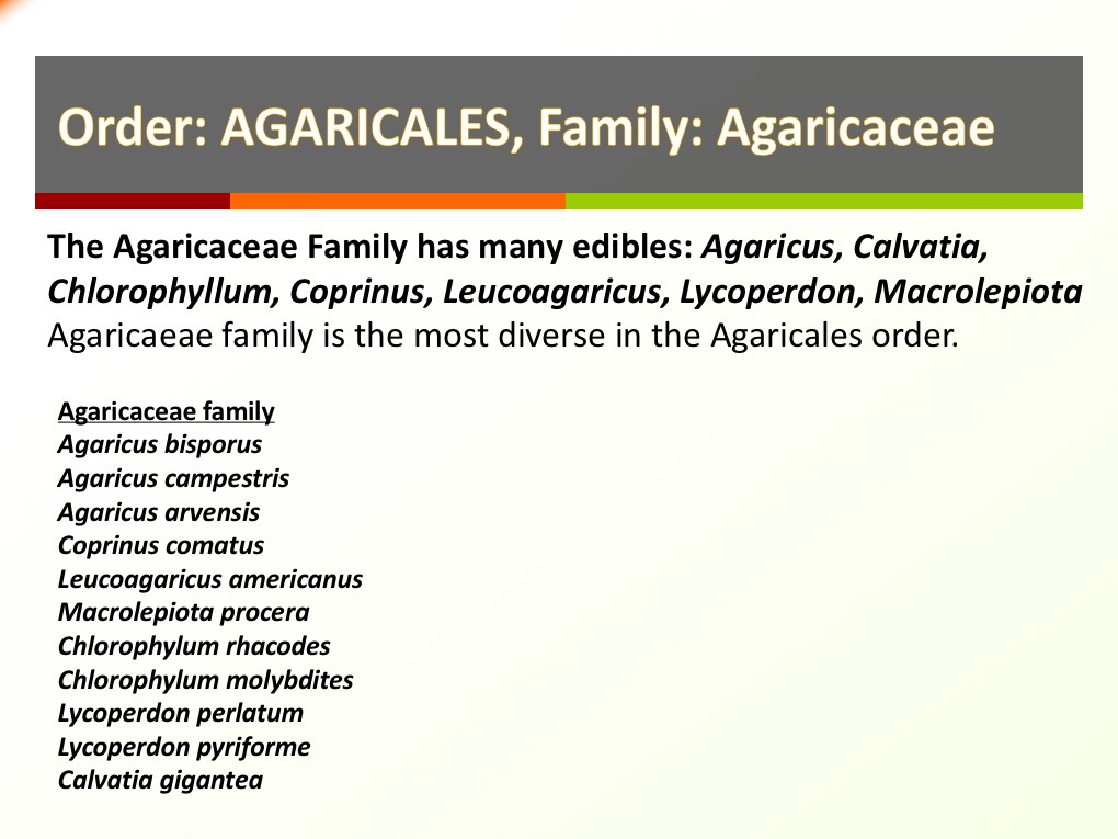 Slide036