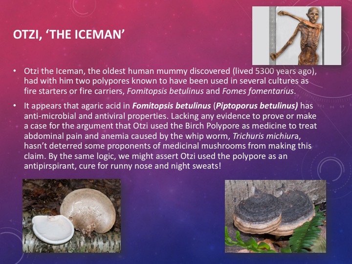 Slide038
