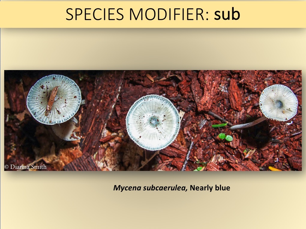 Slide039