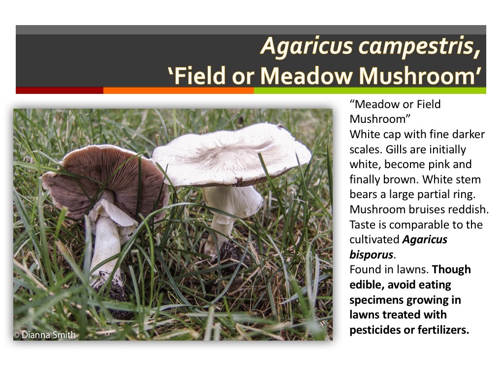 Slide039