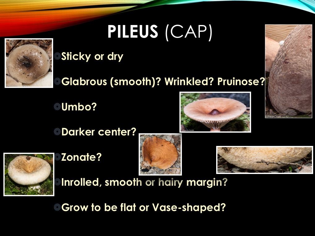 Slide04