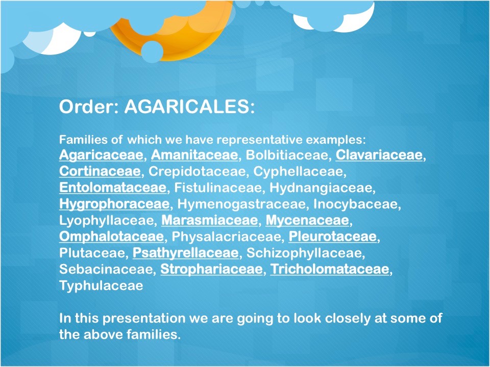 Slide04