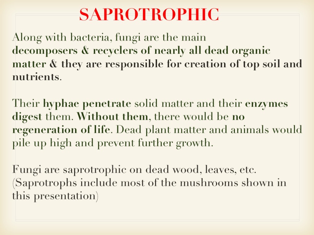 Slide043