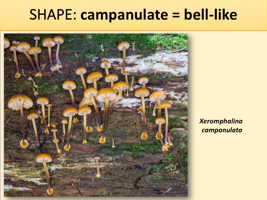 Slide043