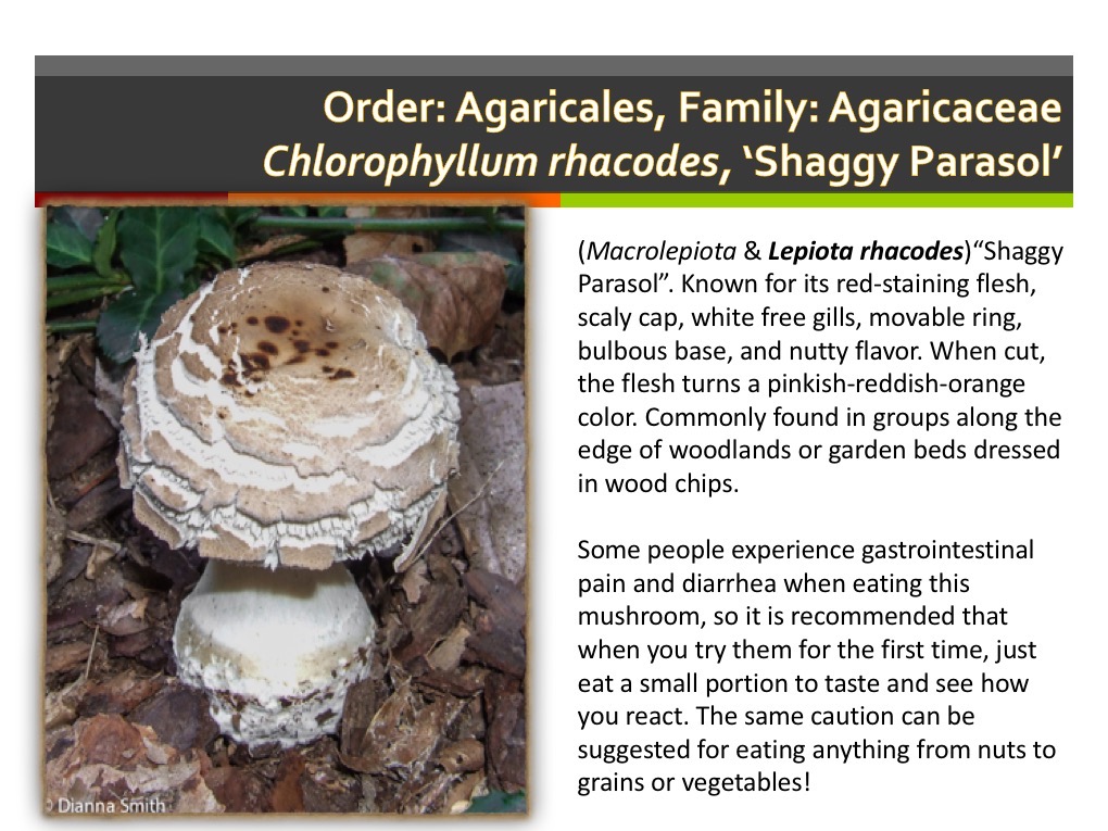Slide045