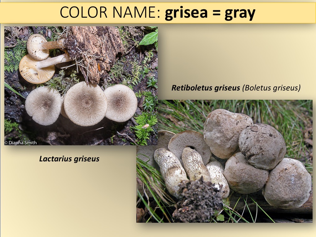Slide045