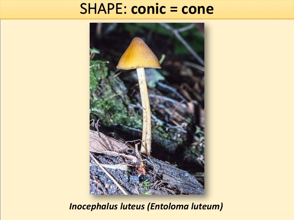 Slide045