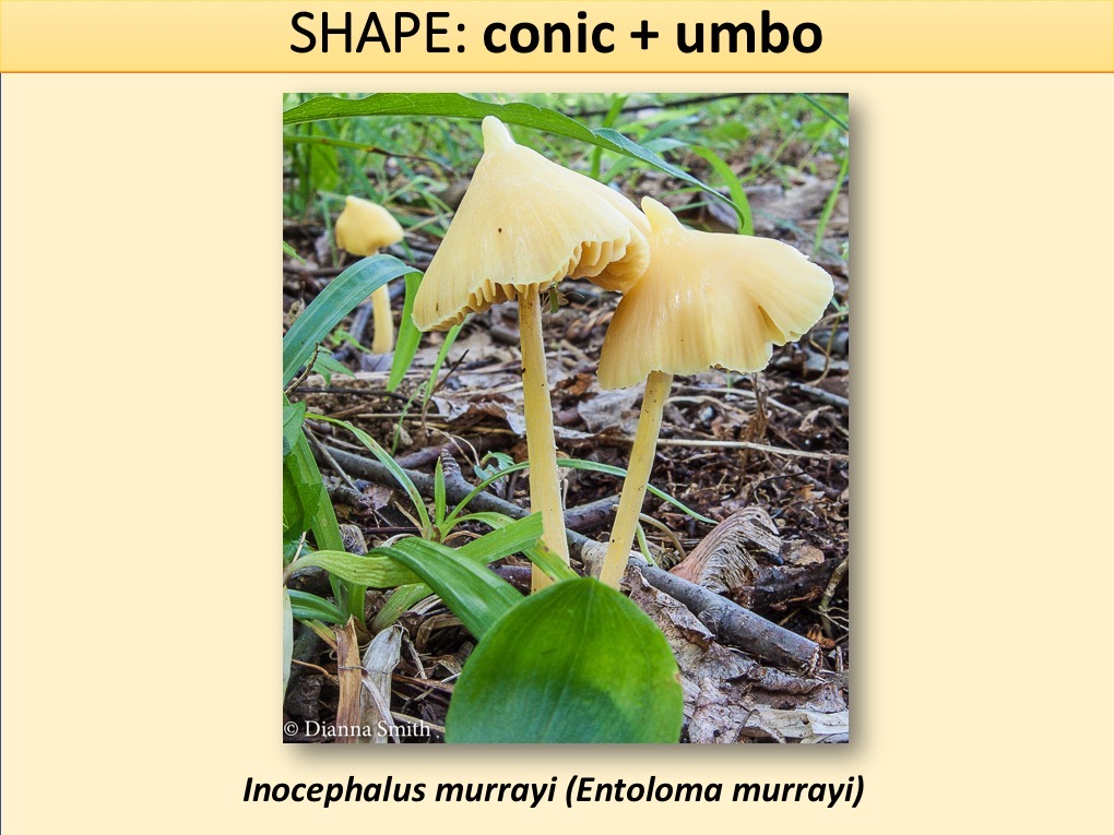 Slide046
