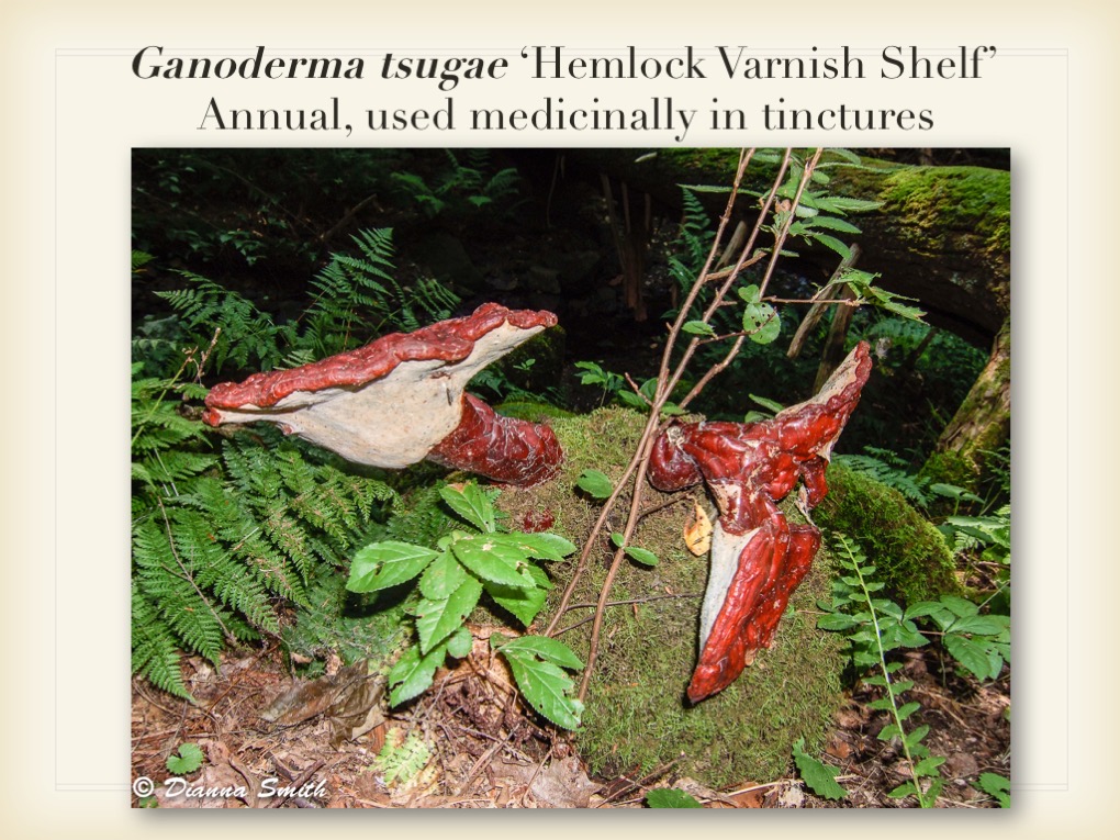 Slide047