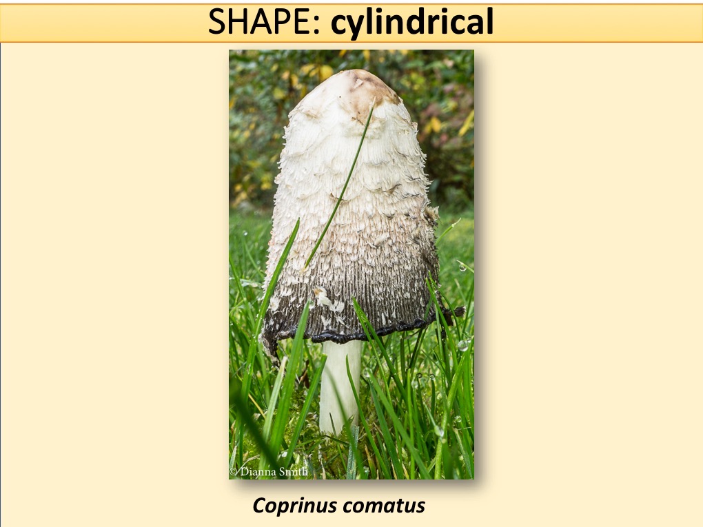 Slide048