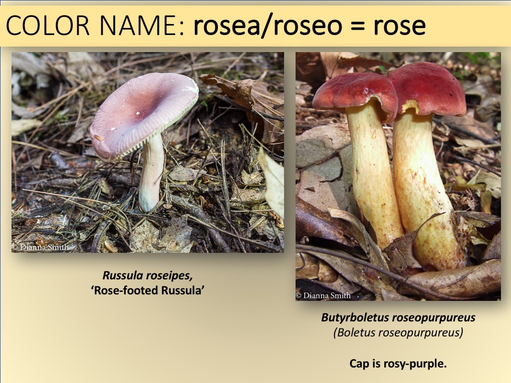 Slide049