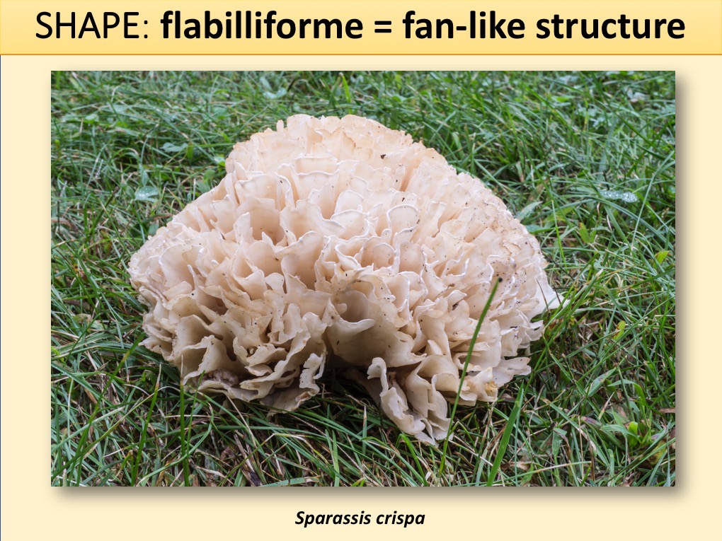 Slide049