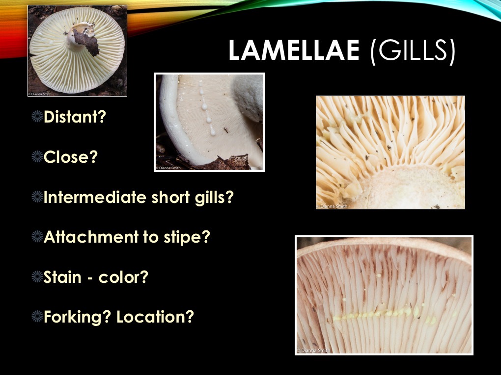 Slide05