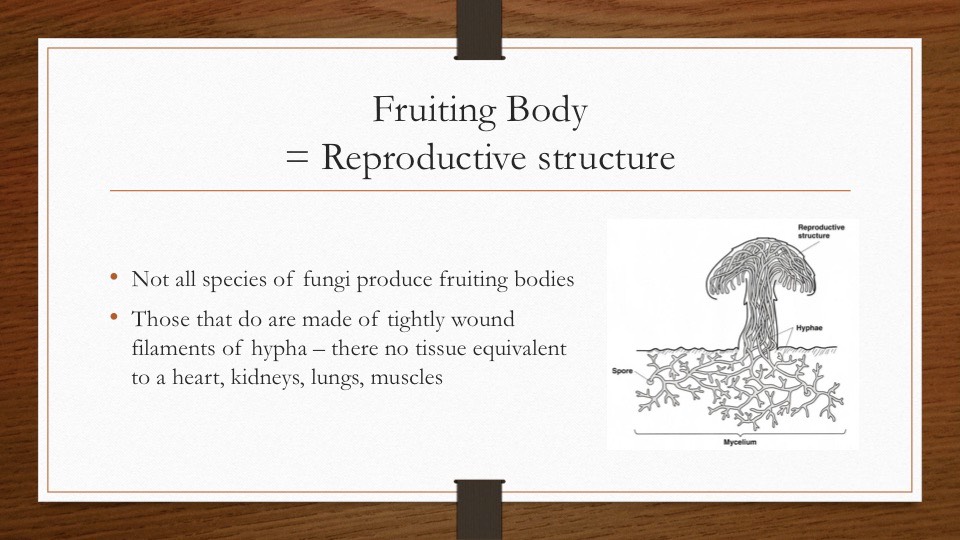 Slide05
