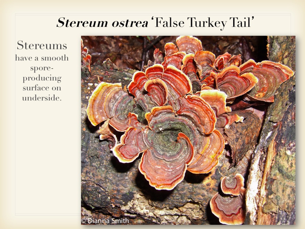Slide053
