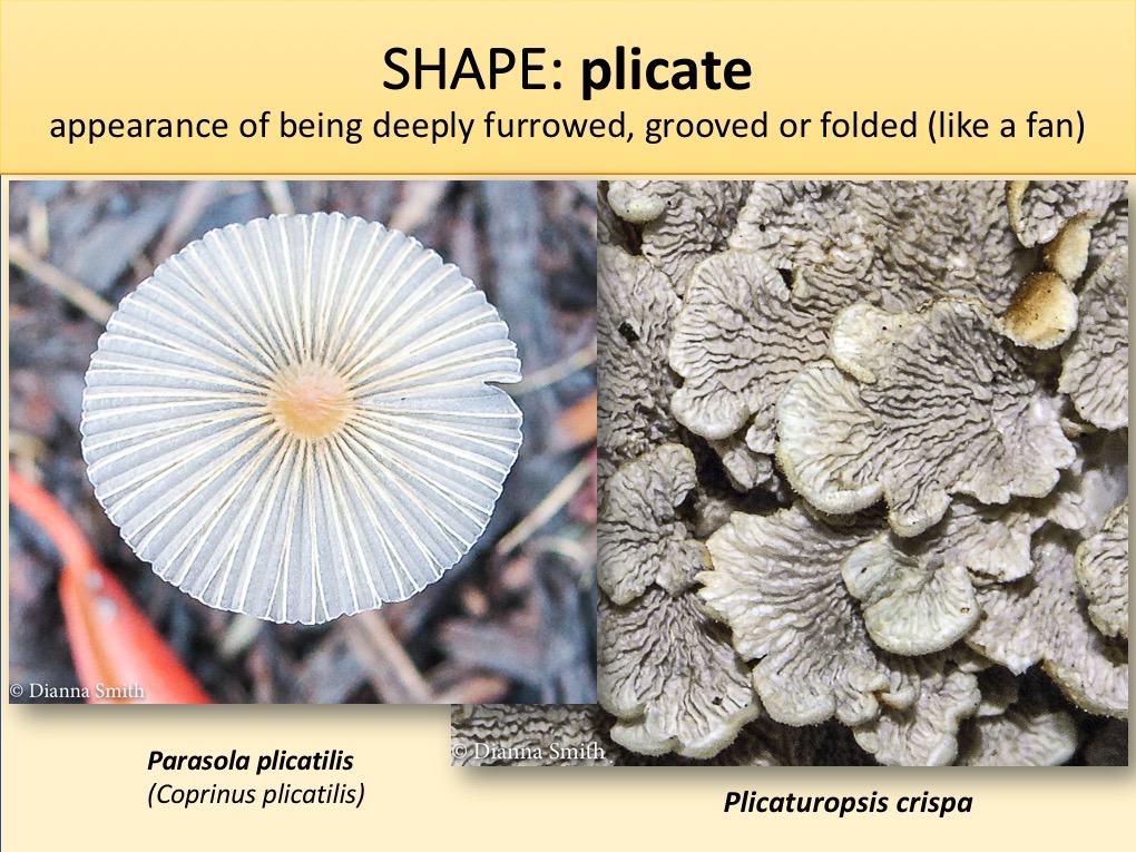 Slide053
