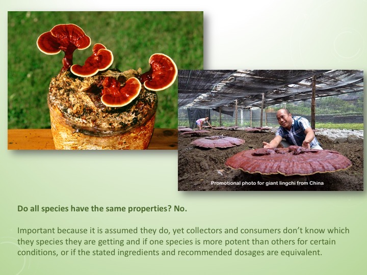 Slide054